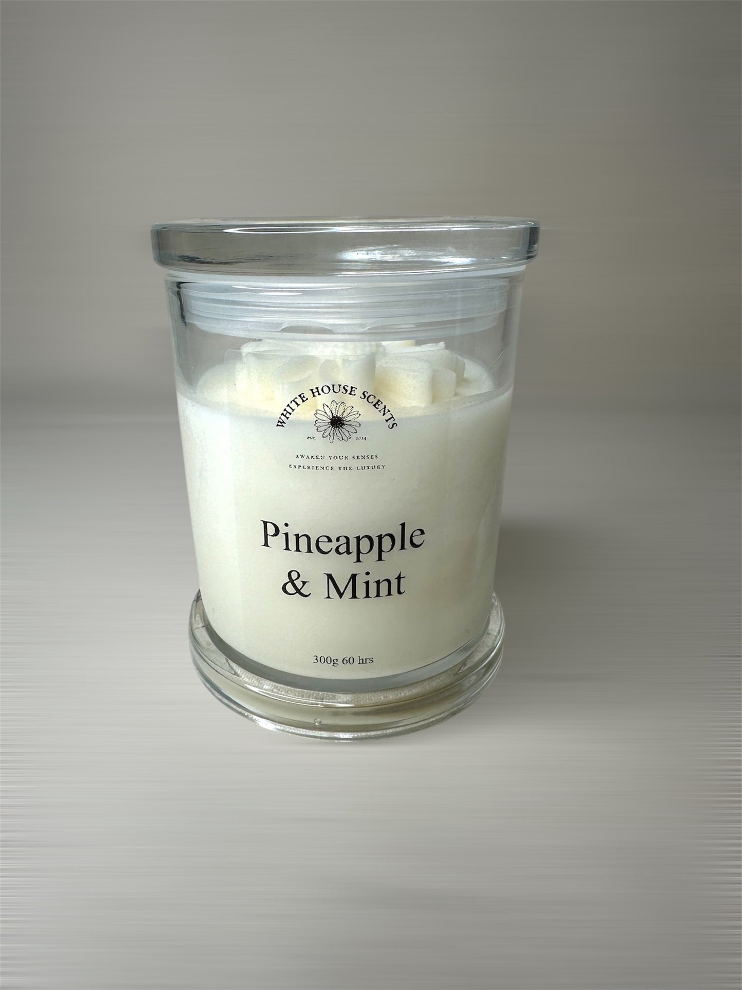 Classic Collection Soy Candle Australia *available all year round