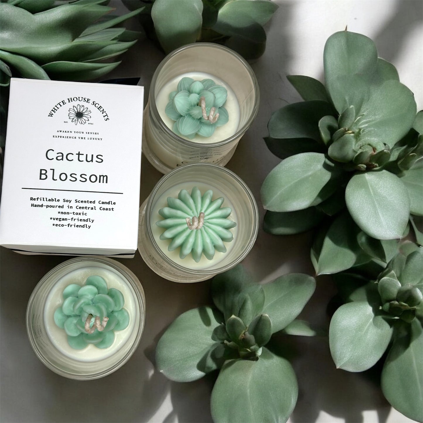 Soy candle australia