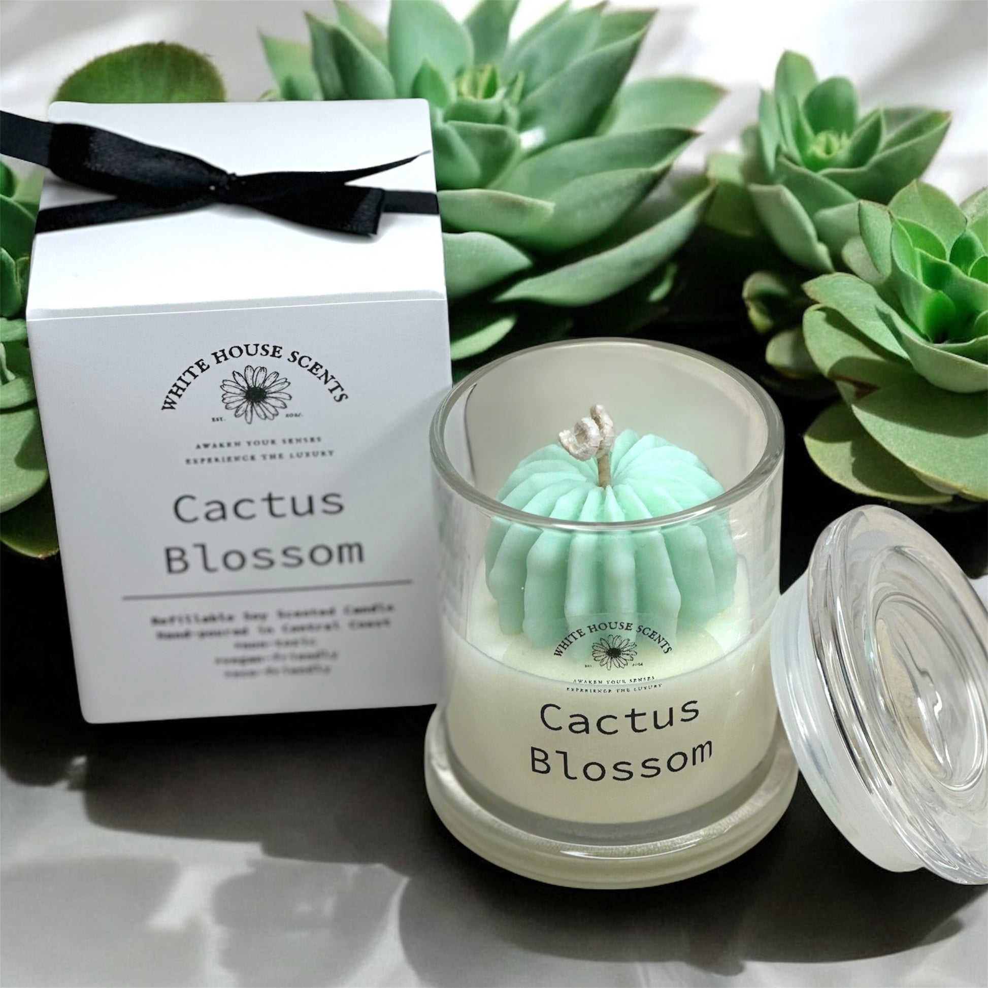 Soy candle australia