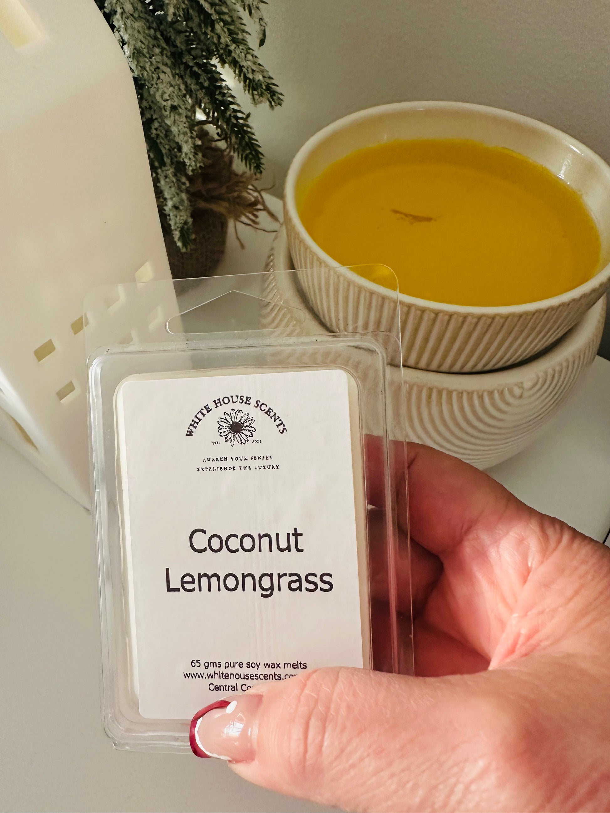 Hand holding a wax melt package labeled 'Coconut Lemongrass' with a candle in the background.